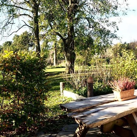 Latterly Rooms Silkeborg Dış mekan fotoğraf